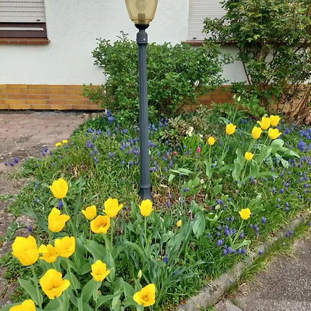 Lägenhet Sonnenhang *